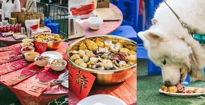 物坐上年夜饭餐桌AG真人直营宠(图4)